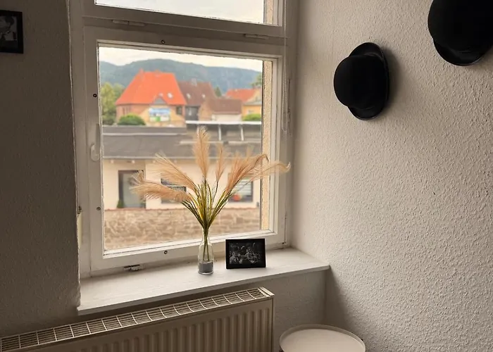 Oasis In The Heart Of The Harz - Sauna